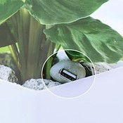 Toppunt van milieuvriendelijkheid: je iPhone opladen met een plant