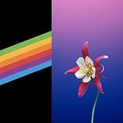 Nieuwe wallpapers ontdekt in iOS 11: retro regenboog, bloemen en diepzwart