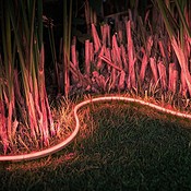Philips Hue LightStrip Outdoor is een waterbestendige lichtslang voor de tuin