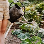 De beste apps voor tuinieren en planten verzorgen