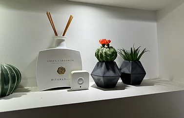 Philips Hue bewegingsmelder