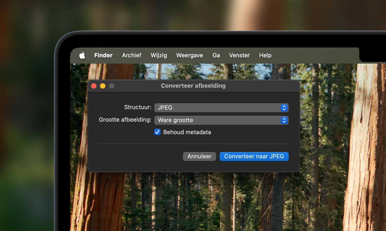WebP afbeeldingen omzetten naar JPG