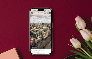 Google Maps met Immersive View