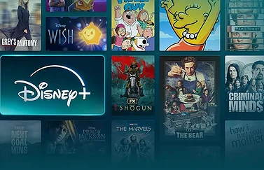 Disney Plus banner