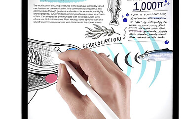 Apple Pencil-functies
