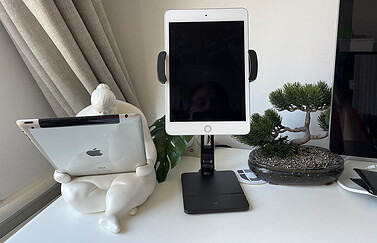 HoverBar Duo met iPad mini