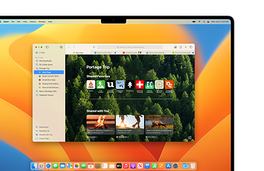 Safari 16 in macOS Ventura.