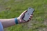 iPhone 16e buiten in hand