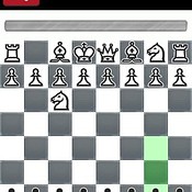 NetChess schaken