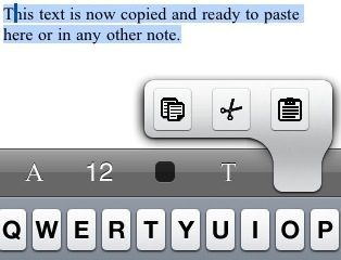 Copy & Paste in iPhone teksteditor.