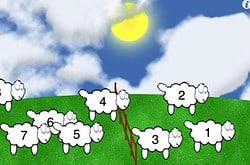 sheep-count