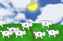 sheep-count