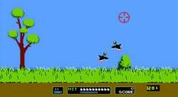 Duck Hunt