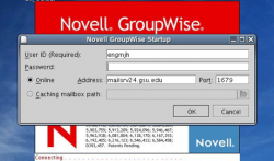 groupwise