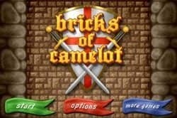 bricks of camelot