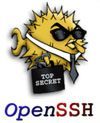 OpenSSH