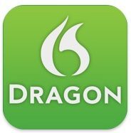 dragon icoon