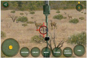 real deer hunting real deer hunting
