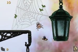 spider bryce manor