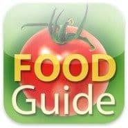 food guide icon