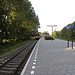 Treinperron NS Station Driehuis