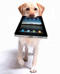 ipad_dog