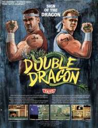 Double_Dragon_flyer