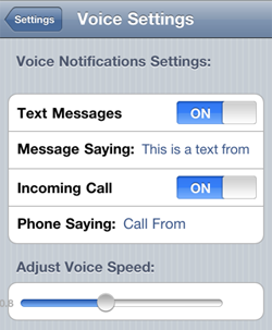 Voice Notifications