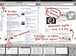 iPad Maven Web Browser twee pagina's