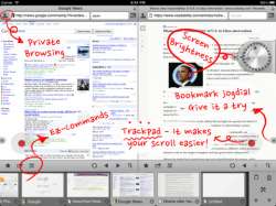 iPad Maven Web Browser twee pagina's