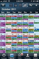 Pocket Informant maandkalender