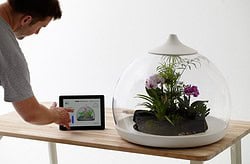 Biome Smart Terrarium iPad