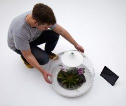 Biome Smart Terrarium iPad