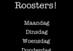 Roosters iPhone app voor lesroosters header