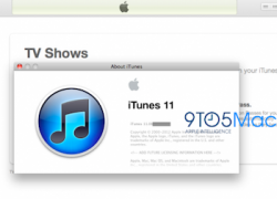 iTunes 11