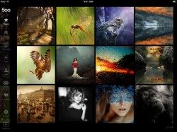 500px iPad app