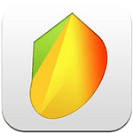 Mango Browser X webbrowser iPhone