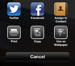 Twitter icon iOS 6