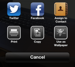 Twitter icon iOS 6