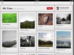 Pinterest voor iPad persoonlijk prikbord