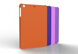 iPad mini case