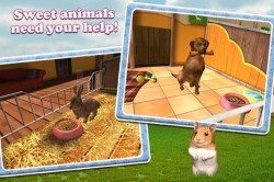 Petworld 3D