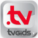 iPad mini TVGiDS.tv