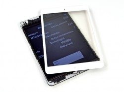 iPad mini iFixit