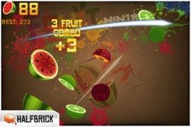 Fruit Ninja