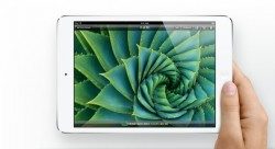 iPad mini