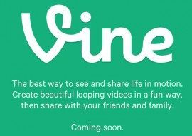 Vine