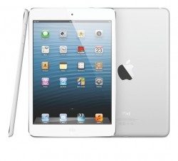 ipad mini wit