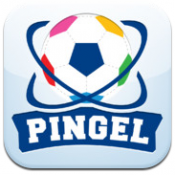 pingel icoon