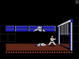 GU DO Karateka Classic 1984 iOS
